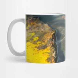 Turtle Shells and Lily Pads Photograph Mug